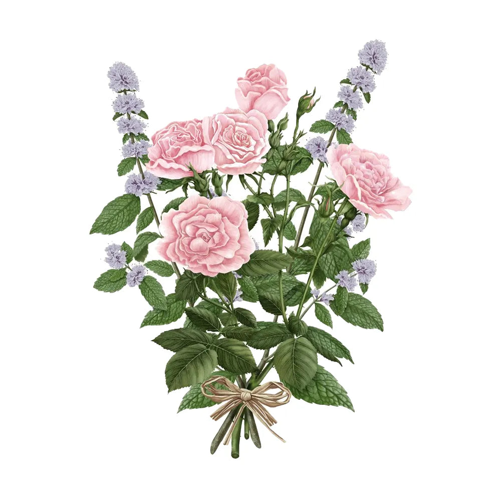 Carrière Frères - Palets Botaniques Parfumés La Rose aime la Menthe