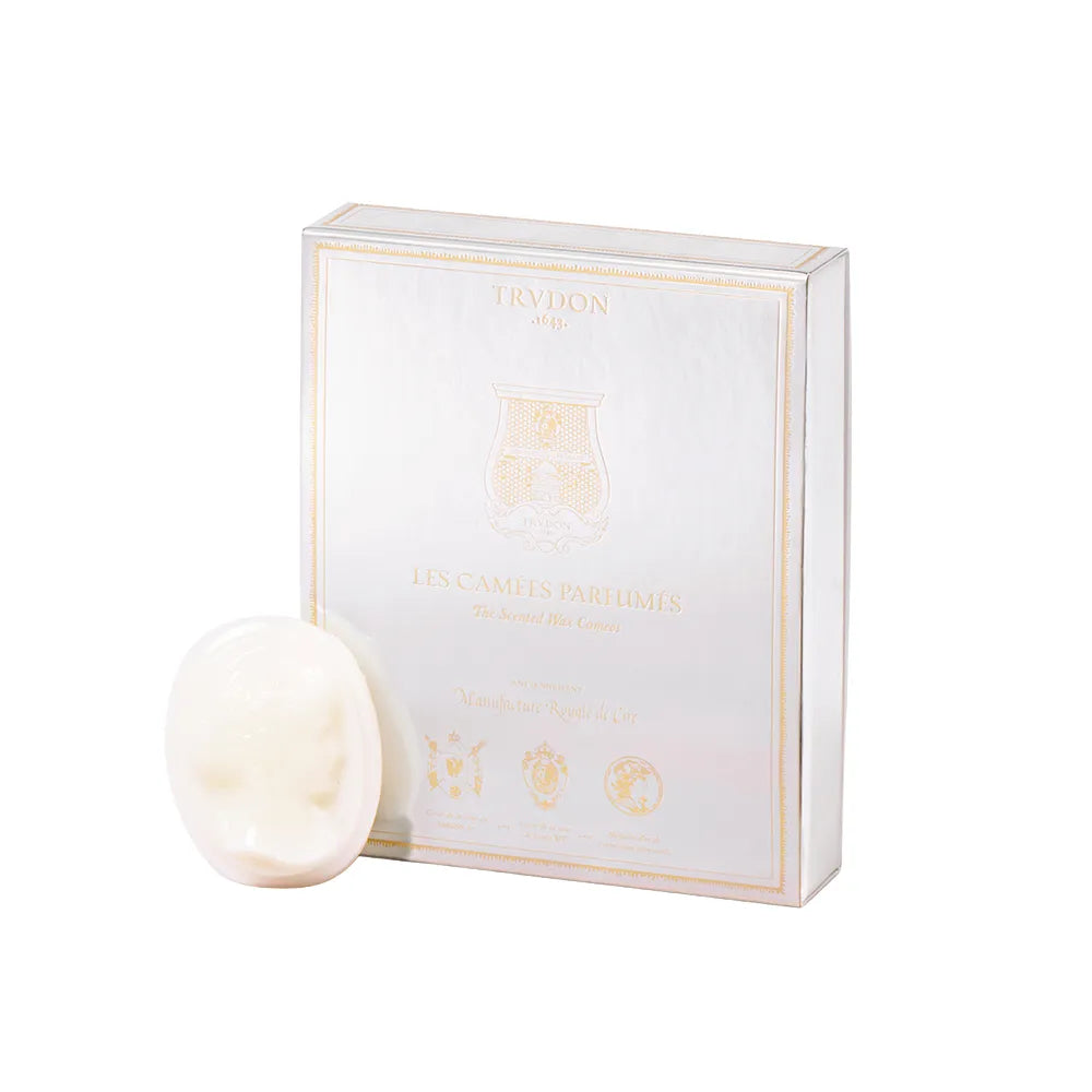 Trudon – 4 Camées Parfumés Fir
